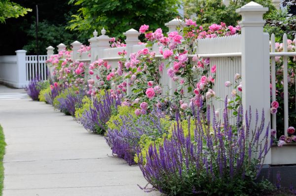 Garden Handyman Service in Dubuque