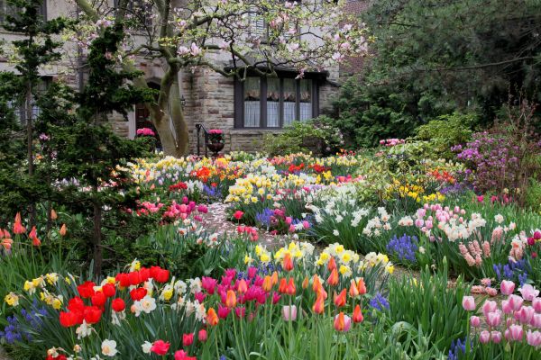Garden Maintenance Service in Dubuque