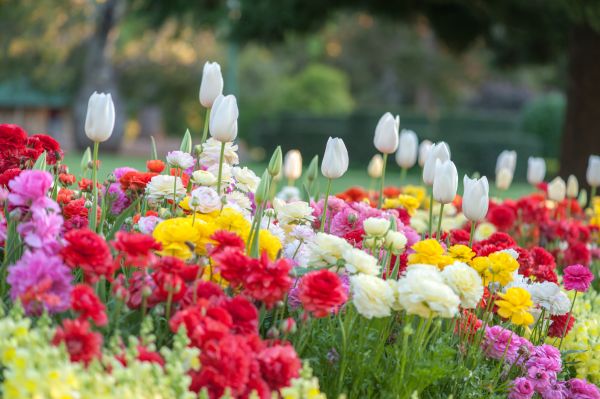 Gardening Service in Dubuque