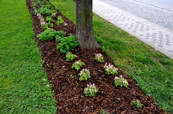 Mulch Replacement Service in Dubuque