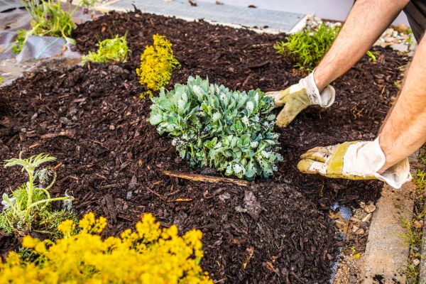 Weeding And Mulching in Dubuque