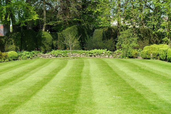 Lawn Renovation in Dubuque