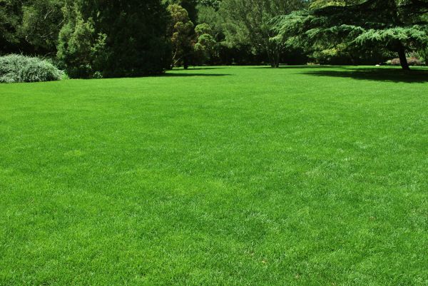 Lawn Landscaping in Dubuque