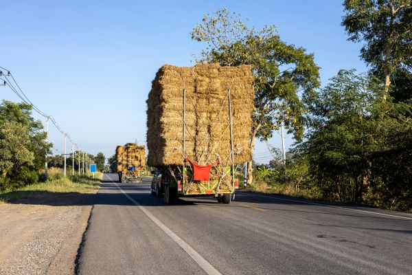 Pine Straw Delivery in Dubuque