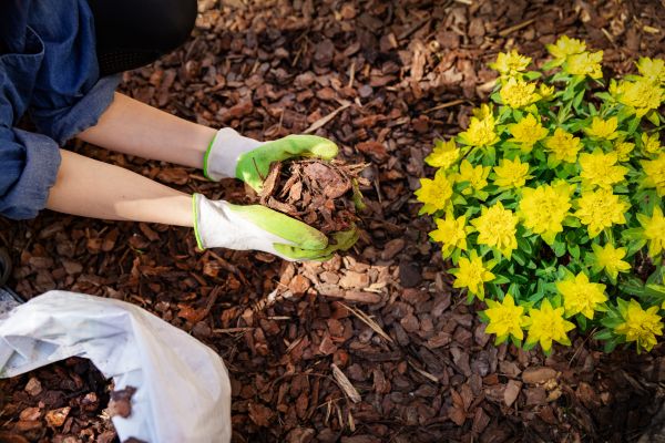 Garden Mulching in Dubuque