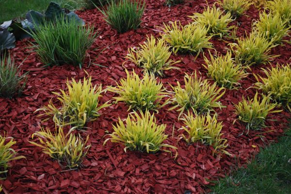 Mulch Landscaping in Dubuque