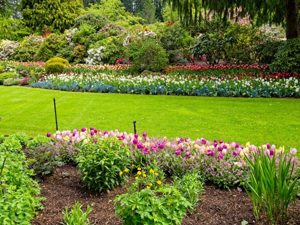 Residential Landscape Design in Dubuque