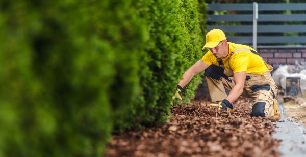 Cypress Mulch Installation in Dubuque