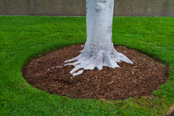 Brown Mulch Installation in Dubuque