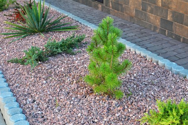 Garden Border Installation