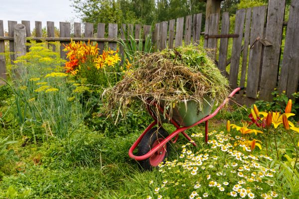 Garden Cleanup Service in Dubuque