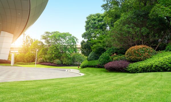 Business Landscape Design in Dubuque