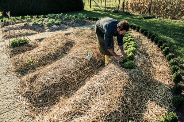 Straw Mulching Service in Dubuque