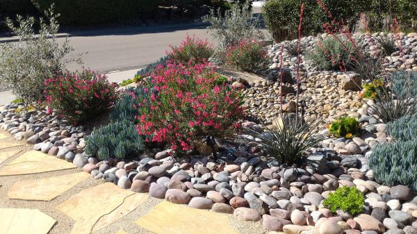 Xeriscape Landscaping in Dubuque