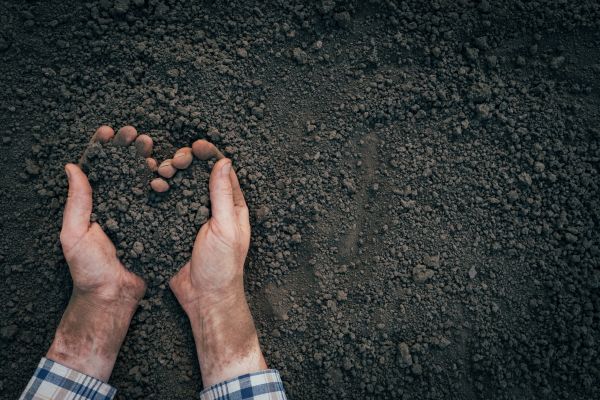 Soil Installation in Dubuque