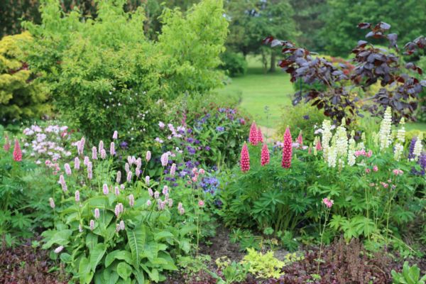 Flower Bed Planting in Dubuque