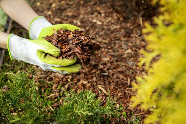 Garden Mulch Delivery in Dubuque