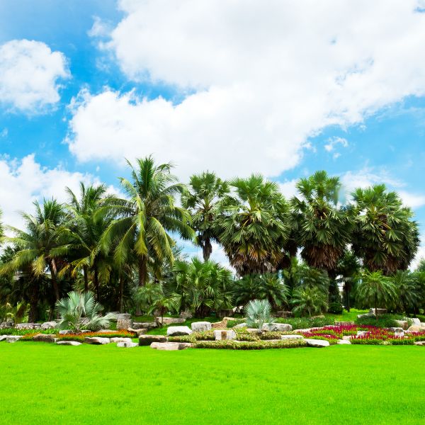 Tropical Landscaping in Dubuque