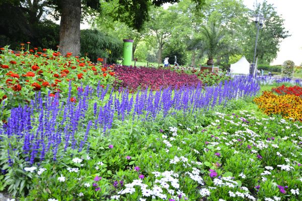 Perennials Planting in Dubuque