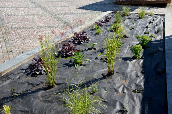 Landscape Fabric Installation in Dubuque