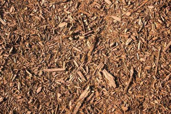 Wood Chips Removal in Dubuque