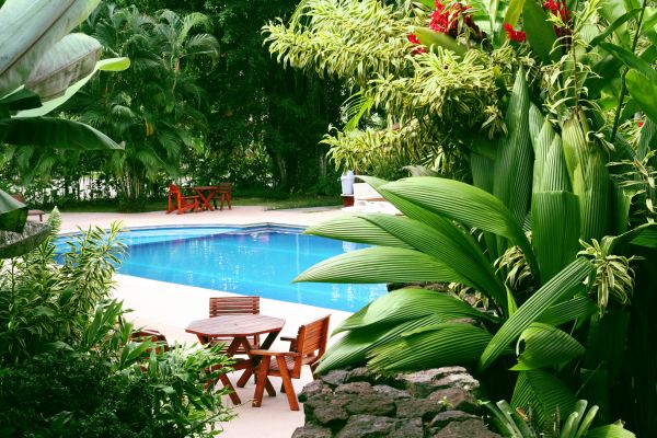 Pool Area Landscaping in Dubuque