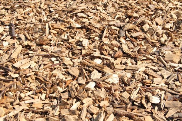 Wood Mulch Delivery in Dubuque