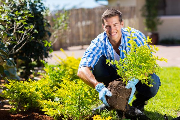 Shrub Landscaping in Dubuque