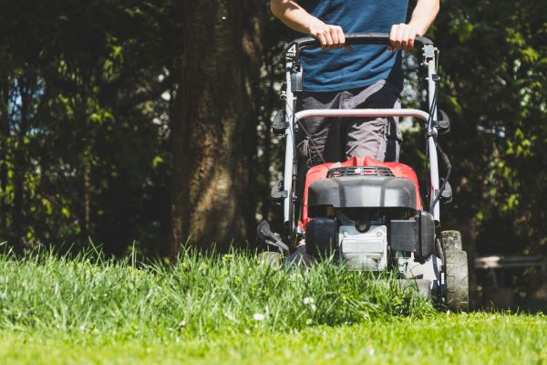 Garden Trimming Service in Dubuque