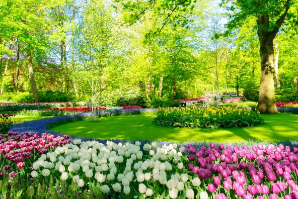 Flower Landscaping in Dubuque