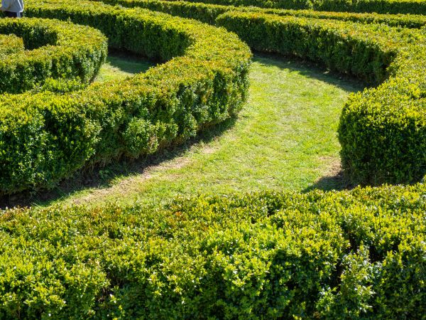 Bush Landscaping in Dubuque