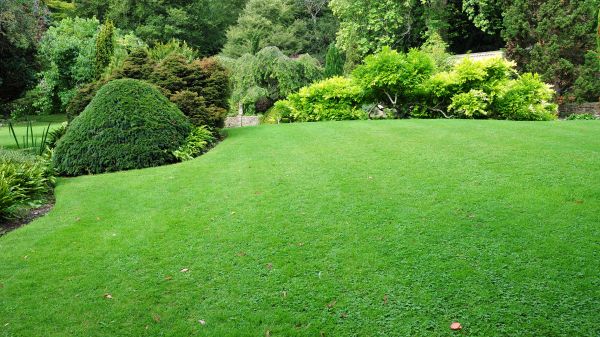 Commercial Landscape Design in Dubuque