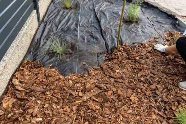 Pine Bark Spreading in Dubuque