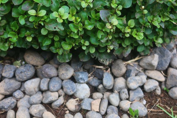 River Stone Installation in Dubuque