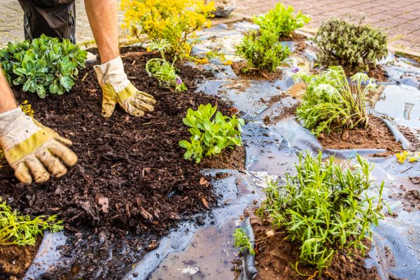 Mulch Fabric Installation in Dubuque