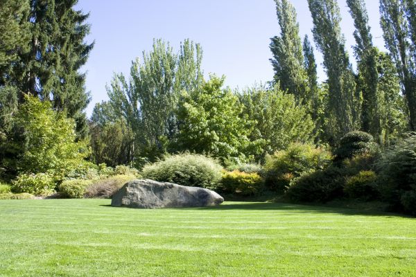 Yard Enlargement in Dubuque