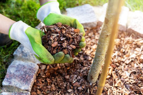 Tree Bark Delivery in Dubuque