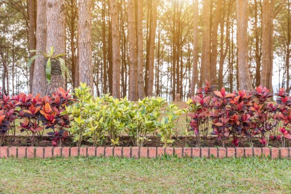 Small Garden Landscaping in Dubuque