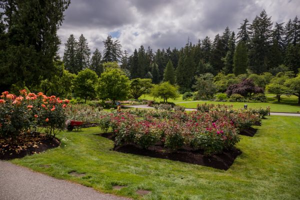 Flower Garden Landscaping in Dubuque