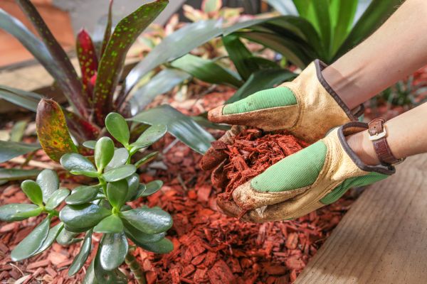 Cedar Mulch Installation in Dubuque